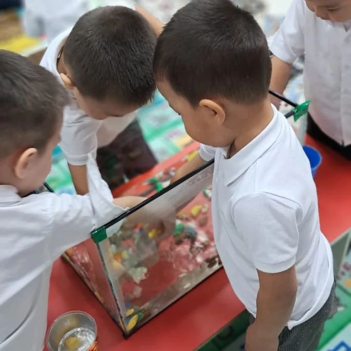 446355202_1257779368534457_3920263060509742268_n